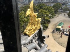体験授業：岡山城の見学