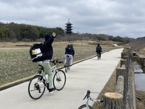 IMG_8041